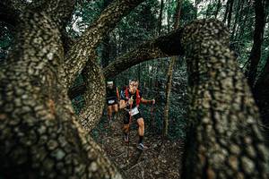 BIB: 
                            <button type="button" onclick="openModal(25392765)" class="btn btn-primary btn-sm float-right btn-popup" data-toggle="modal" data-target=".modal-high-quality">
                        <i class="fas fa-shopping-cart"></i> Add to Cart
                    </button>
                                            <button type="button" onclick="isThisMe(25392765, true)" class="btn btn-success btn-sm float-right btn-popup btn-isme hidden" data-toggle="tooltip" data-placement="bottom" title="นี่คือรูปของคุณใช่ไหม คลิกที่นี่เพื่อเอาเข้าอัลบั้ม">
                        <i class="fas fa-plus"></i> Add to album
                    </button>
                    <button type="button" onclick="isThisMe(25392765, false)" class="btn btn-warning btn-sm float-right btn-popup btn-isnotme hidden">
                        <i class="fas fa-ban"></i> Remove from album
                    </button>